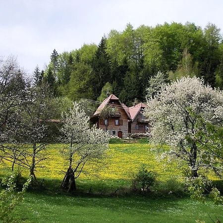 Appartamento Konaci Zaovljanska Jezera Zaovine Esterno foto