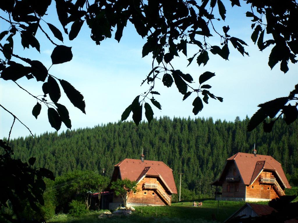 Appartamento Konaci Zaovljanska Jezera Zaovine Esterno foto