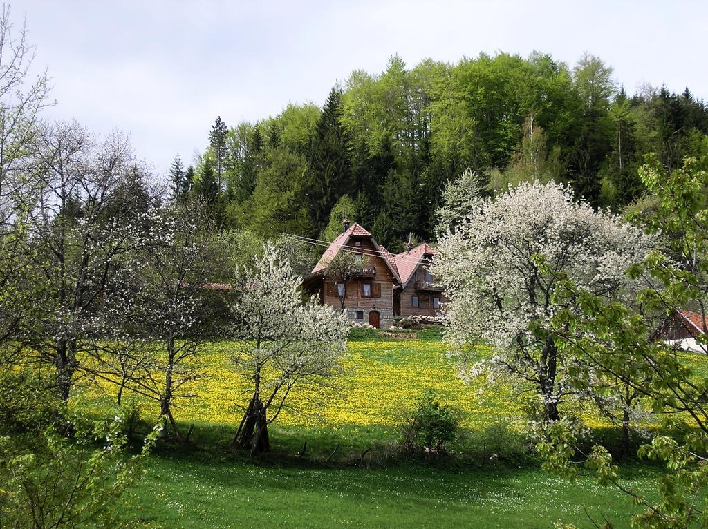 Appartamento Konaci Zaovljanska Jezera Zaovine Esterno foto