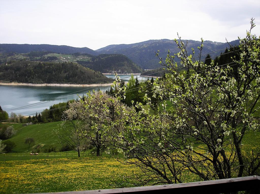 Appartamento Konaci Zaovljanska Jezera Zaovine Esterno foto