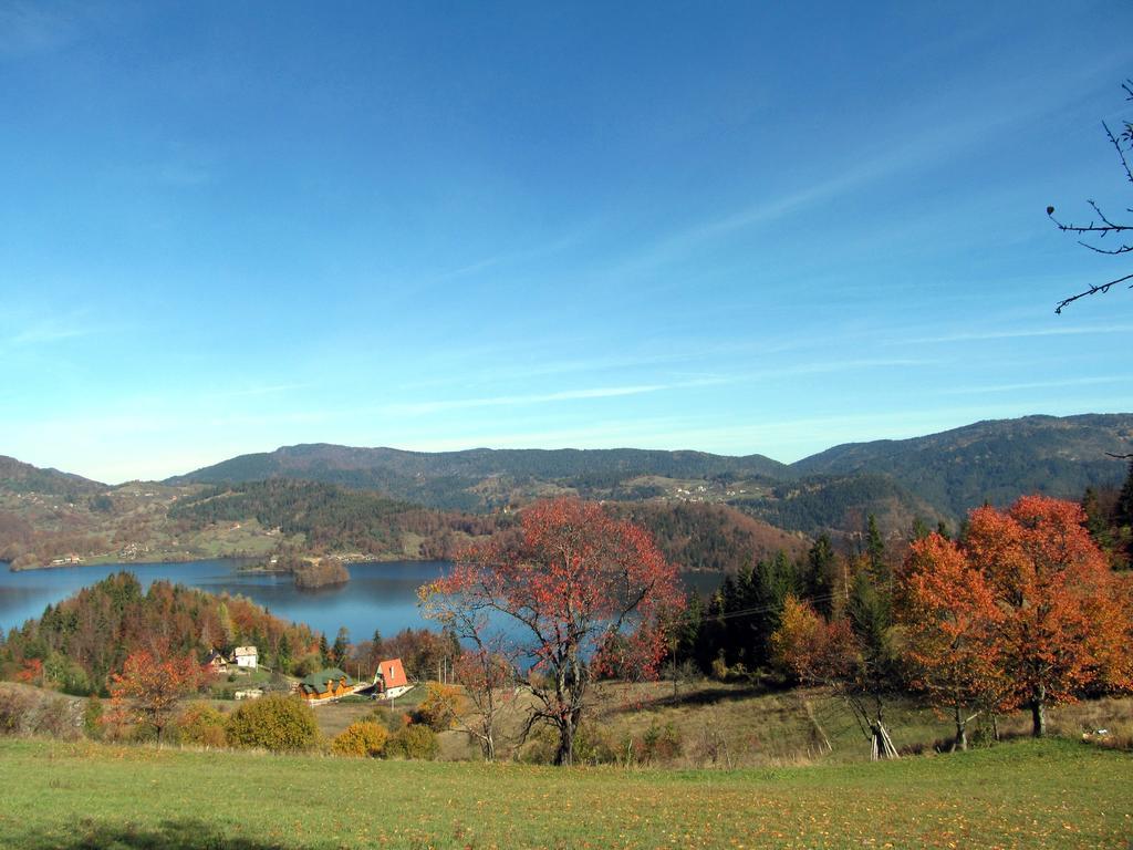 Appartamento Konaci Zaovljanska Jezera Zaovine Esterno foto