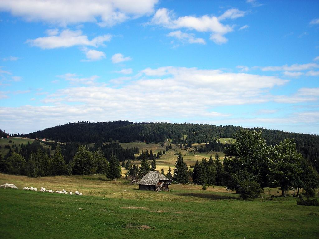 Appartamento Konaci Zaovljanska Jezera Zaovine Esterno foto