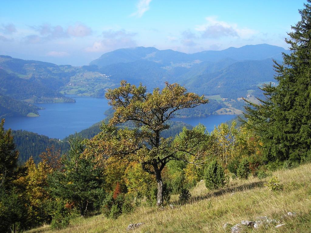 Appartamento Konaci Zaovljanska Jezera Zaovine Esterno foto