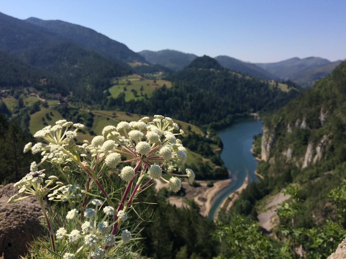 Appartamento Konaci Zaovljanska Jezera Zaovine Esterno foto