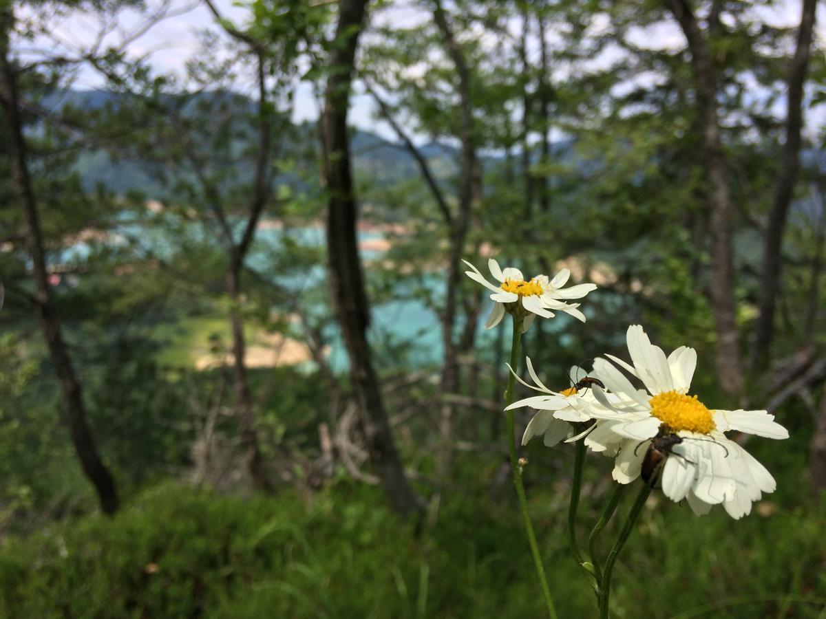 Appartamento Konaci Zaovljanska Jezera Zaovine Esterno foto
