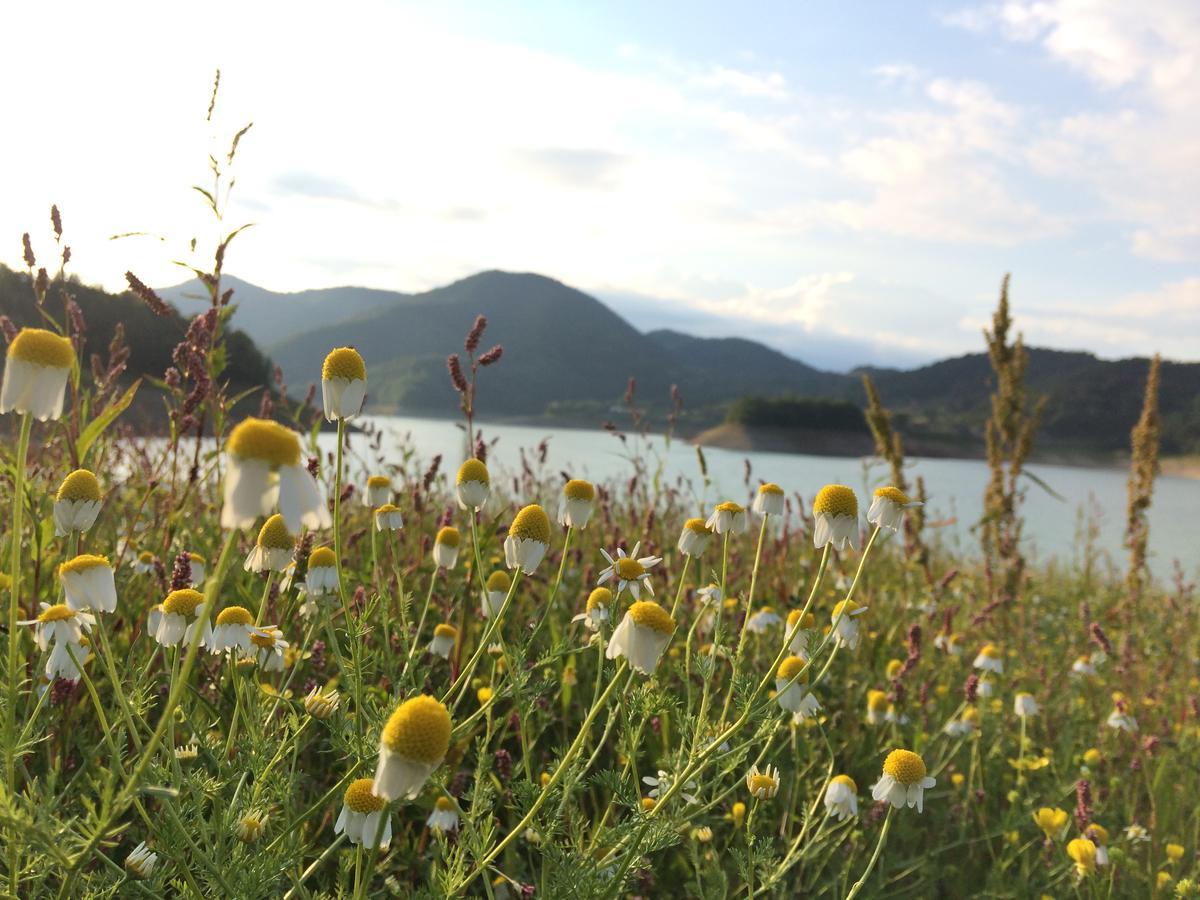 Appartamento Konaci Zaovljanska Jezera Zaovine Esterno foto